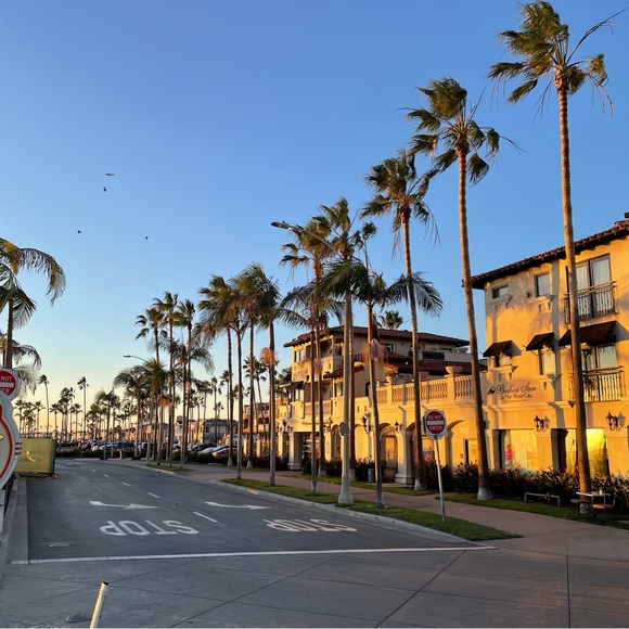 Meet your Posher, Morgan - Picture 1 of 1